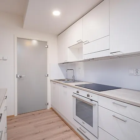 Brand New 2bdr With Private Sauna Apartment Rovaniemi