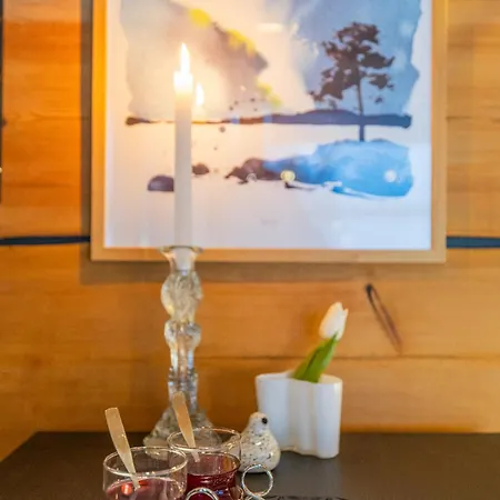 Northern Lights River Nest Villa Rovaniemi