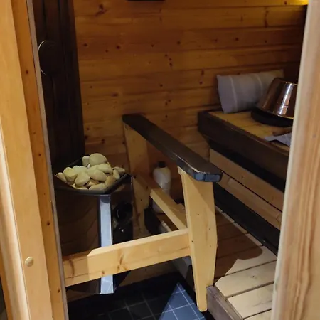 Lapland Arctic & Sauna Rovaniemi