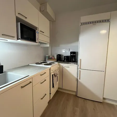 Apartment Modernly Renovated Northern Lapland Home, Free Wifi & Parking Rovaniemi