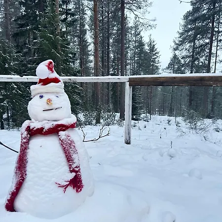 Holiday home Kaamos Old House