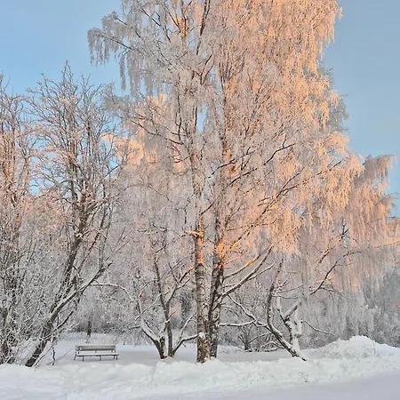 Huoneisto Tilava Uudistettu Perheasunto