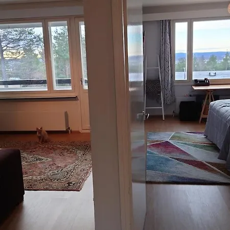 Apartment Spacious Penthouse With A View & Character