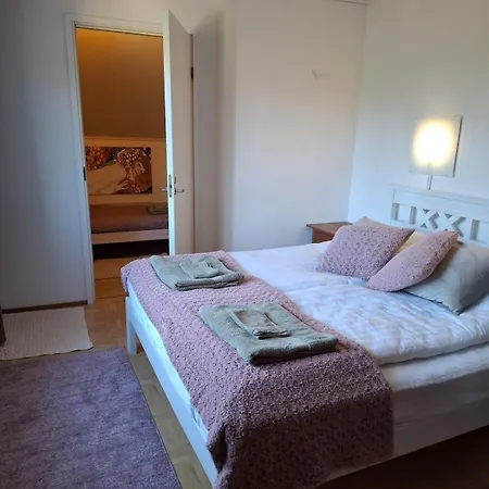 Onnela Holiday home *