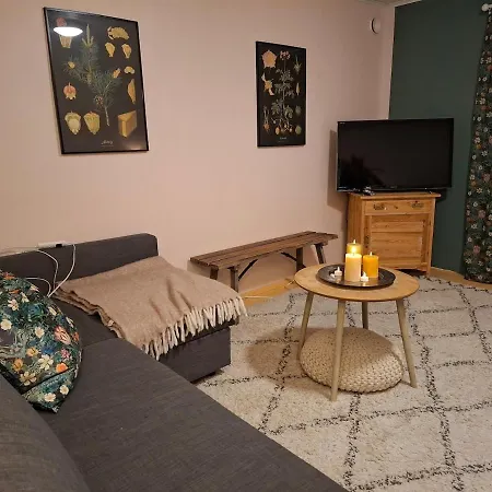 Onnela Holiday home *