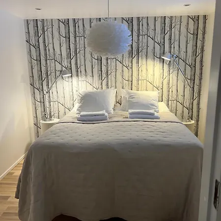 Scandinavian Style Appartement
