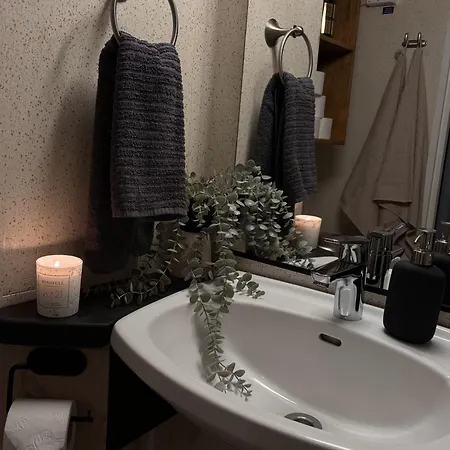 Apartment Wolf Street Gem, Free Parking N Nearby Bus Stop