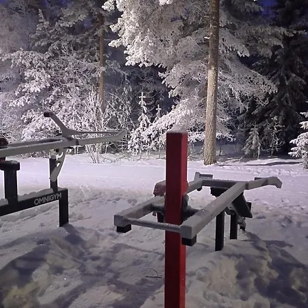 Wolf Street Gem, Free Parking N Nearby Bus Stop * Rovaniemi