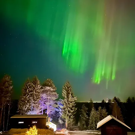 The Saunacabin Enchanted Lapland Holiday home *