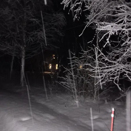 Vanttaus