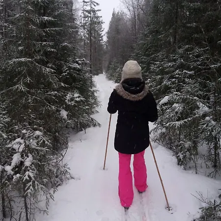 Vanttaus Rovaniemi