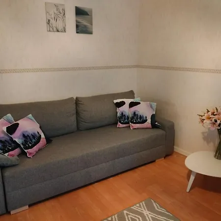 Spacious With Balcony And Free Wifi Apartment *