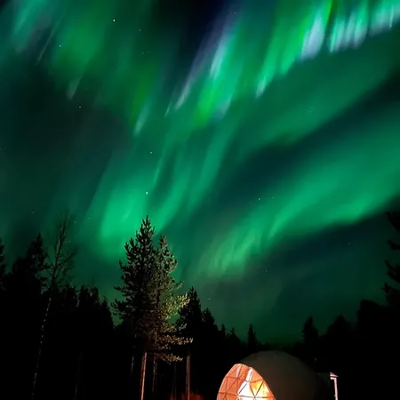 Aurora Igloo Fireplace-heated Tents In A Secret Forest With Private Jacuzzi And Shared Sauna Bathroom And Dog Friendly * Rovaniemi