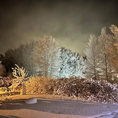 - Northern Tealight Rovaniemi