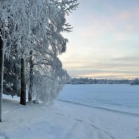 - Northern Tealight * Rovaniemi