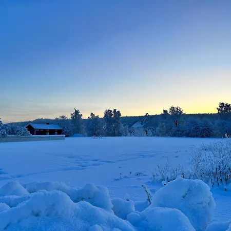 - Northern Tealight