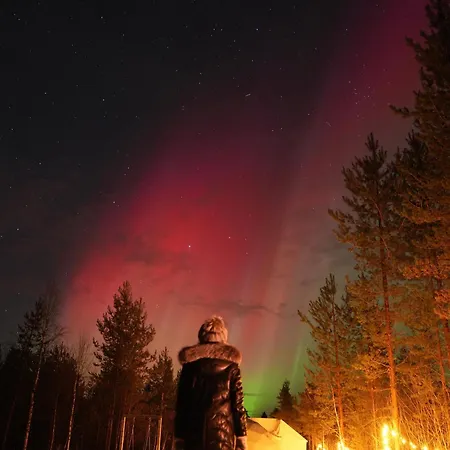 Aurora Igloo Fireplace-heated Tents In A Secret Forest With Private Jacuzzi And Shared Sauna Bathroom And Dog Friendly Tente de luxe Rovaniemi
