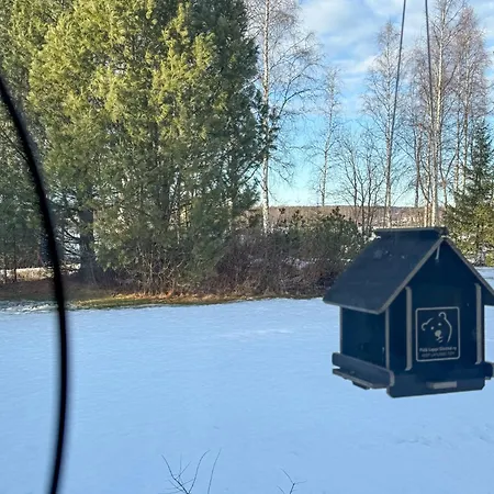 Arctic Riverside House Homestay