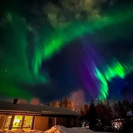 Homestay Arctic Riverside House *