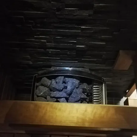 Nordic Home, With Private Sauna Apartment Rovaniemi