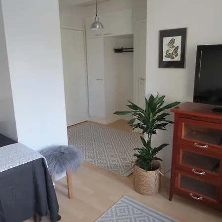 Nordic Home, With Private Sauna Rovaniemi
