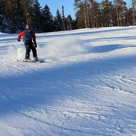 Arctic Heart 3*