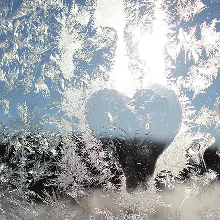 Arctic Heart Gasthof