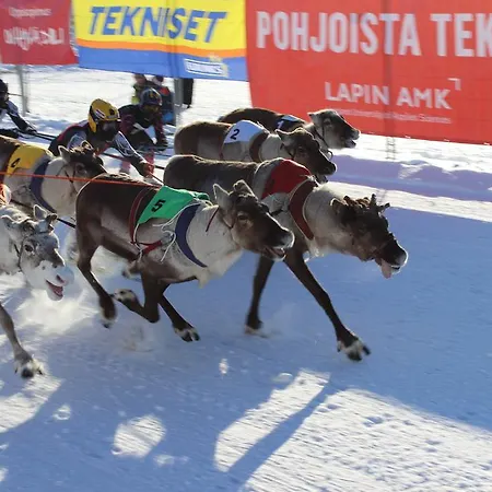Gasthof Arctic Heart Rovaniemi