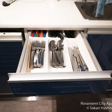 Rovaniemi City Apartments Apartment *
