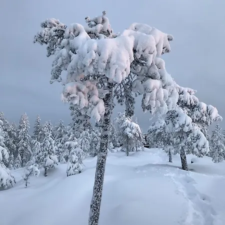 Appartement Sampo Rovaniemi