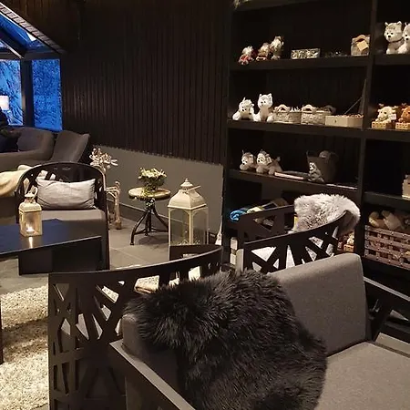 Santa's Igloos Arctic Circle Hotel