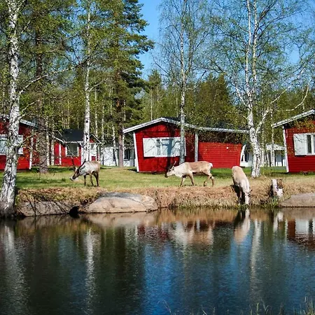Motel Motelli