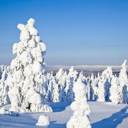 Rovavisit Siljo Rovaniemi