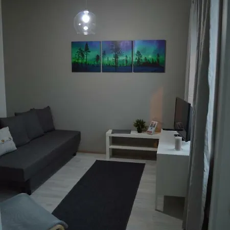Aurora Haven Modern Dt -self Check-in & Free Wifi- Rovaniemi