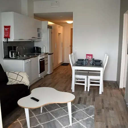 With Sauna Apartment *