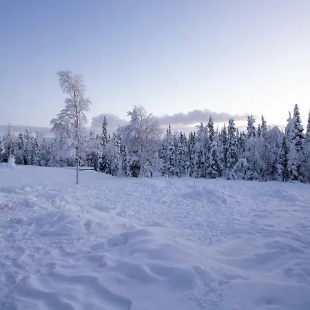 Aurora Rovaniemi