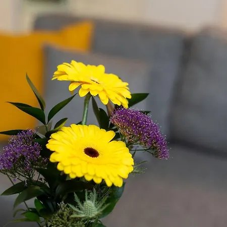 Appartement Sampo *