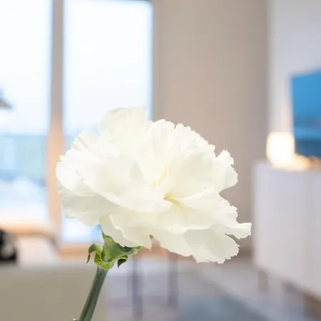 Vasko Luxurious Suites, Davvi Apartment Rovaniemi