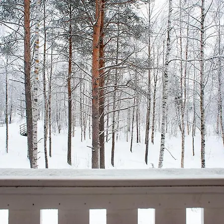 Niemelan Talo Apartment Rovaniemi