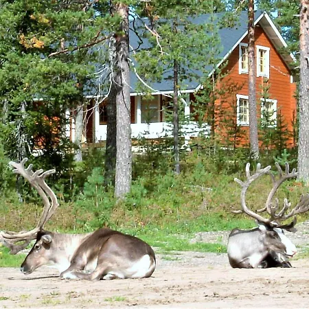 Tilhi * Rovaniemi