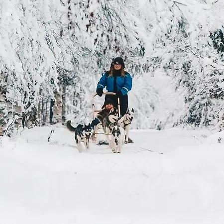 Apukka Rovaniemi