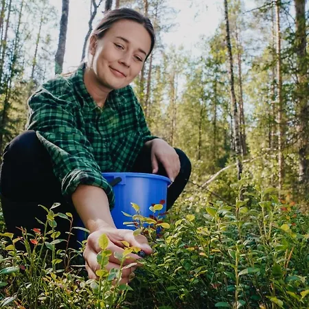 Apukka 4* Rovaniemi